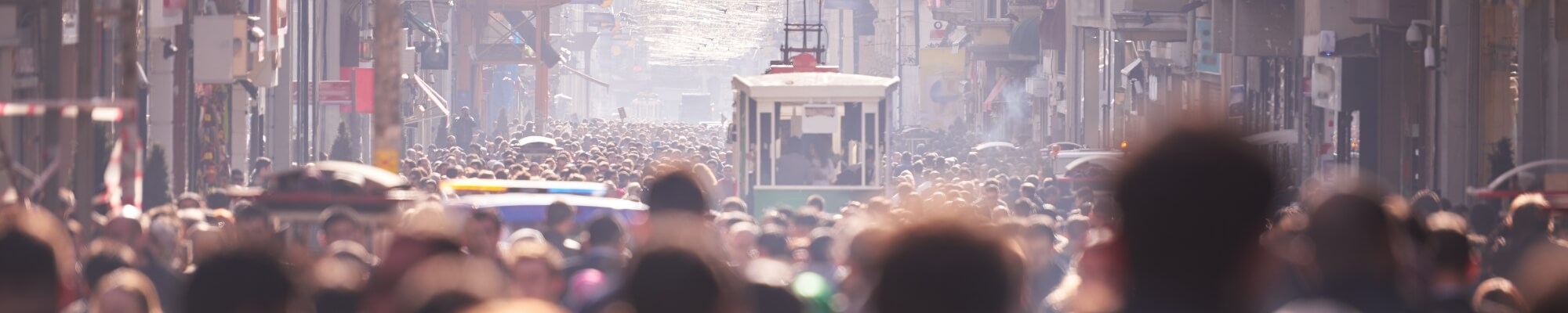 Yatırımcı İlişkileri