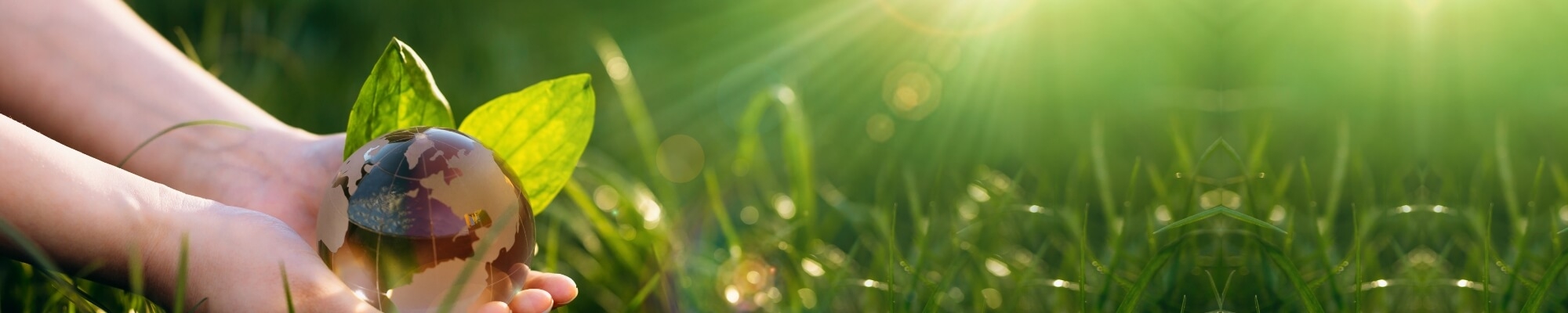 Sürdürülebilirlik